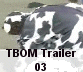 dvdtrailer03.gif