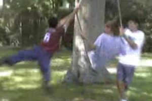 swingrob.jpg