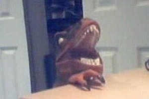 wooscream.jpg